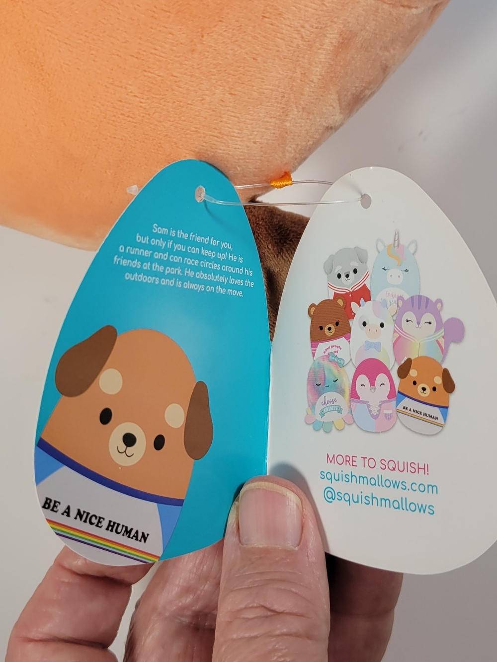 Squishmallows Sam The Dog 8" Plush, Brown Dog In T-Shirt - Picture 11 of 13